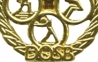 Training für das Sportabzeichen bei der TSG Wörsdorf